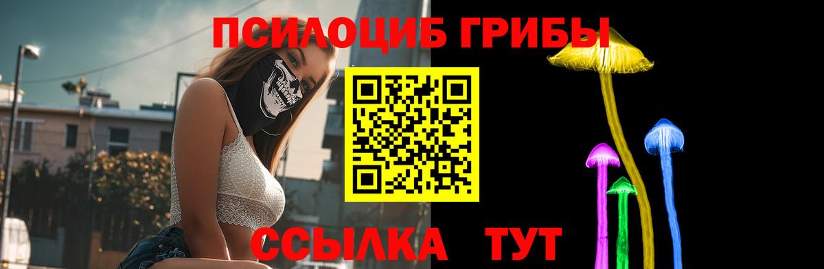Галлюциногенные грибы Psilocybine cubensis  Вход с VPN  Бутурлиновка 
